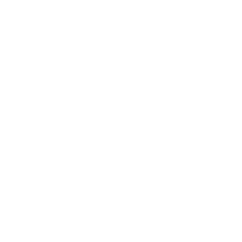 La Brigade De DeBuyer